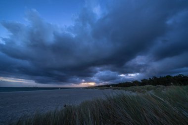 Darss yarımadasındaki manzara, Baltık Denizi, Almanya