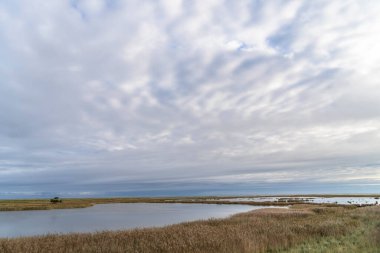 Darss yarımadasındaki manzara, Baltık Denizi, Almanya