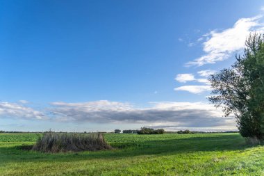 Darss Yarımadası, Almanya 'da Manzara