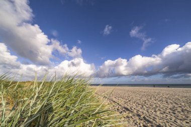 Darss yarımadasındaki manzara, Baltık Denizi, Almanya