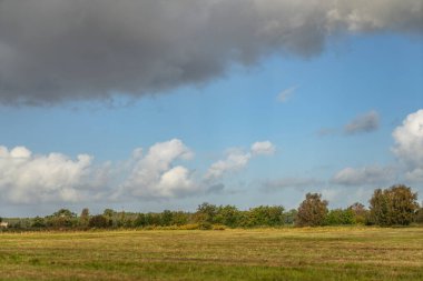 Darss yarımadasındaki manzara, Baltık Denizi, Almanya