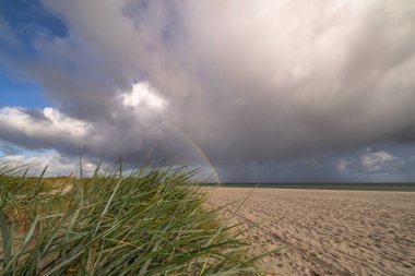 Darss yarımadasındaki manzara, Baltık Denizi, Almanya