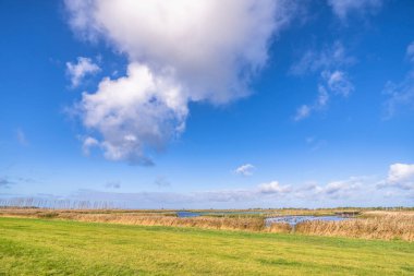 Darss yarımadasındaki manzara, Baltık Denizi, Almanya