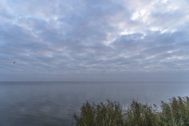 Darss yarımadasındaki manzara, Baltık Denizi, Almanya
