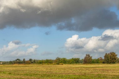 Darss yarımadasındaki manzara, Baltık Denizi, Almanya