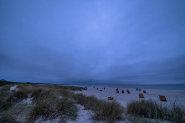 Darss yarımadasındaki kumlu bir sahilde sonbahar manzarası, Baltık Denizi, Almanya