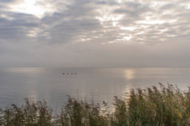 Darss yarımadasındaki manzara, Baltık Denizi, Almanya