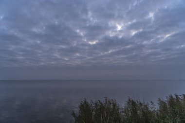 Darss yarımadasındaki manzara, Baltık Denizi, Almanya
