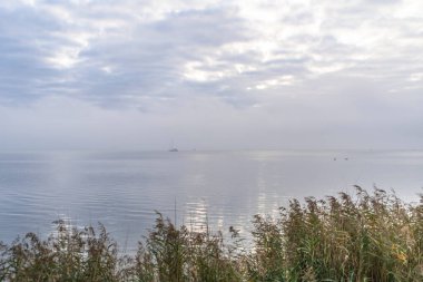 Darss yarımadasındaki manzara, Baltık Denizi, Almanya