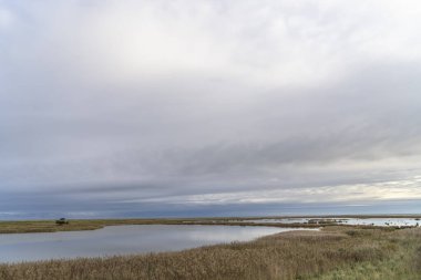 Darss yarımadasındaki manzara, Baltık Denizi, Almanya