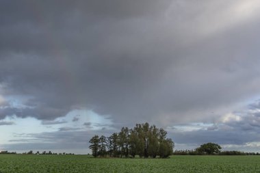 Darss Yarımadası, Almanya 'da Manzara