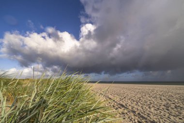 Darss yarımadasındaki manzara, Baltık Denizi, Almanya