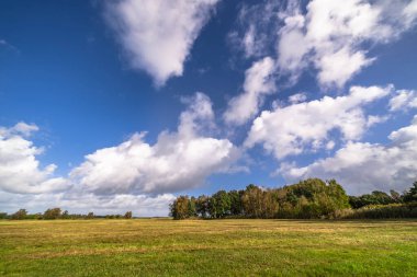 Darss yarımadasındaki manzara, Baltık Denizi, Almanya