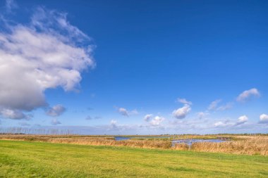 Darss yarımadasındaki manzara, Baltık Denizi, Almanya