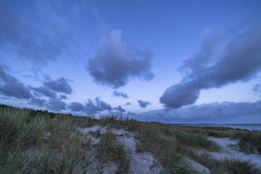 Darss yarımadasındaki manzara, Baltık Denizi, Almanya