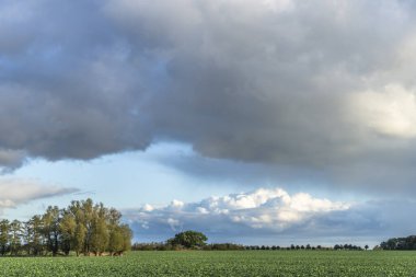 Darss Yarımadası, Almanya 'da Manzara