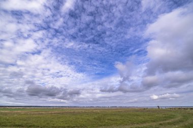 Darss yarımadasındaki manzara, Baltık Denizi, Almanya