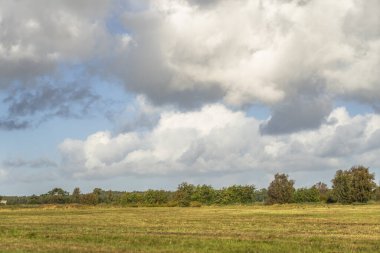 Darss yarımadasındaki manzara, Baltık Denizi, Almanya