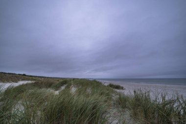 Darss yarımadasındaki kumlu bir sahilde sonbahar manzarası, Baltık Denizi, Almanya
