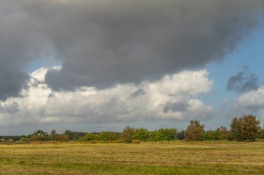 Darss yarımadasındaki manzara, Baltık Denizi, Almanya