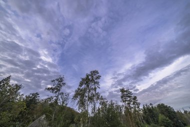 Darss Yarımadası, Almanya 'da Manzara