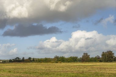 Darss yarımadasındaki manzara, Baltık Denizi, Almanya