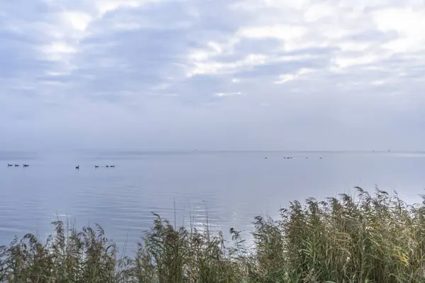 Сценарий Пеньке Дарсс Балтийское Море Германия — стоковое фото