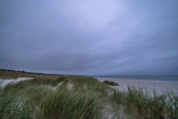 stock image Fall scenery on a sandy beach at the Darss peninsula, Baltic Sea, Germany