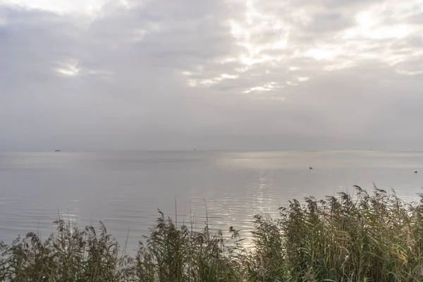 Darss Yarımadasındaki Manzara Baltık Denizi Almanya — Stok fotoğraf