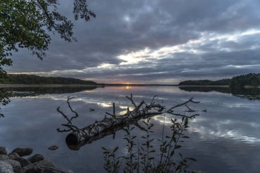 Ağaçlarla çevrili güzel bir günbatımı görüntüsü.