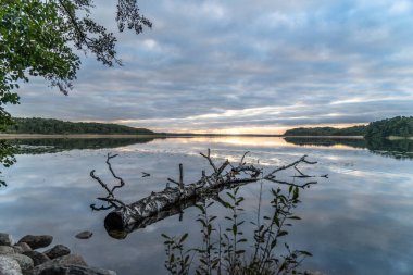 Ağaçlarla çevrili güzel bir günbatımı görüntüsü.