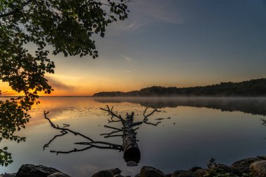 Ağaçlarla çevrili güzel bir günbatımı görüntüsü.