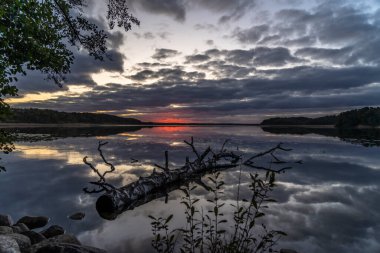 Ağaçlarla çevrili güzel bir günbatımı görüntüsü.