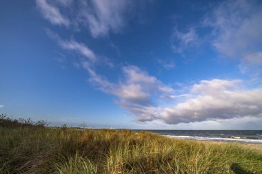 Darss yarımadasındaki manzara, Baltık Denizi, Almanya