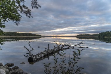 Ağaçlarla çevrili güzel bir günbatımı görüntüsü.
