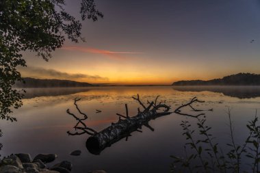 Ağaçlarla çevrili güzel bir günbatımı görüntüsü.