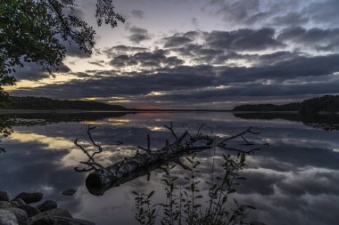Ağaçlarla çevrili güzel bir günbatımı görüntüsü.