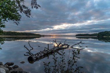 Ağaçlarla çevrili güzel bir günbatımı görüntüsü.