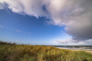 Darss yarımadasındaki manzara, Baltık Denizi, Almanya