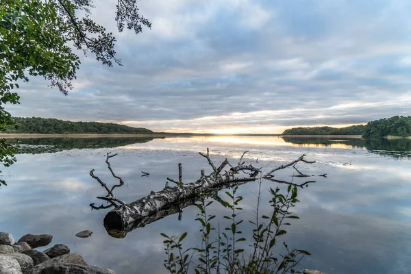 Ağaçlarla çevrili güzel bir günbatımı görüntüsü.