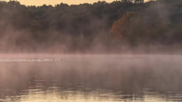 Zeitraffer Herbstlandschaft See — Stockvideo