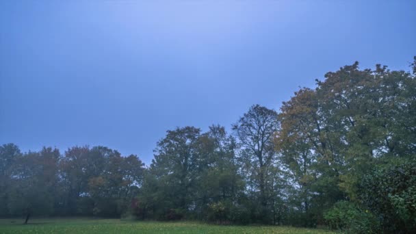 Осеннее Небо Германии Европейские Осенние Пейзажи — стоковое видео