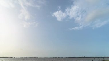 Almanya, Hamburg yakınlarındaki Elbe nehrinde sonbahar manzarası