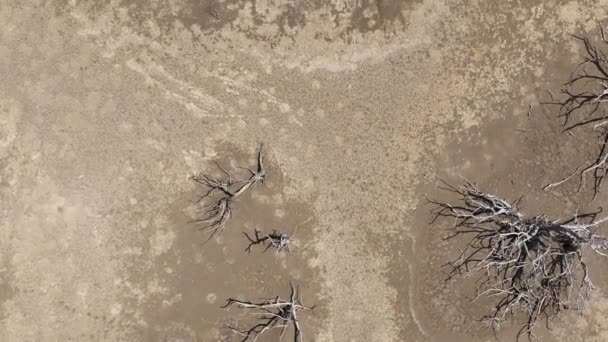 カリブ海の塩工のパターン 空中ビュー — ストック動画