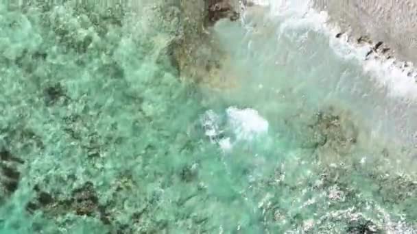 카리브해의 해안과 청록색 — 비디오