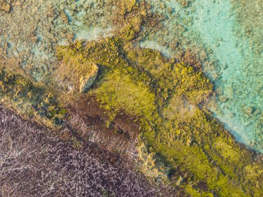 Karayip kıyılarının şablonu - hava manzarası - üst çekim