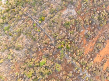 Bir Karayip adasının şablonu - hava manzarası - üst çekim