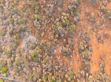 Bir Karayip adasının şablonu - hava manzarası - üst çekim