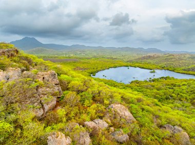 Çiçek açan bir Karayip adasının hava manzarası