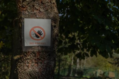 Yaprak döken bir ağacın gövdesinde giriş işareti yok..